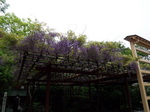 100_0566.jpg